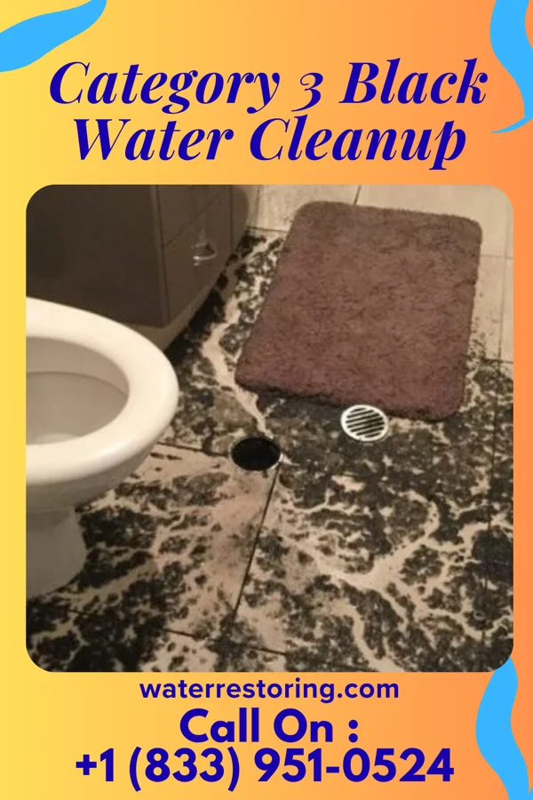 Category 3 Black Water Cleanup in McGregor, TX